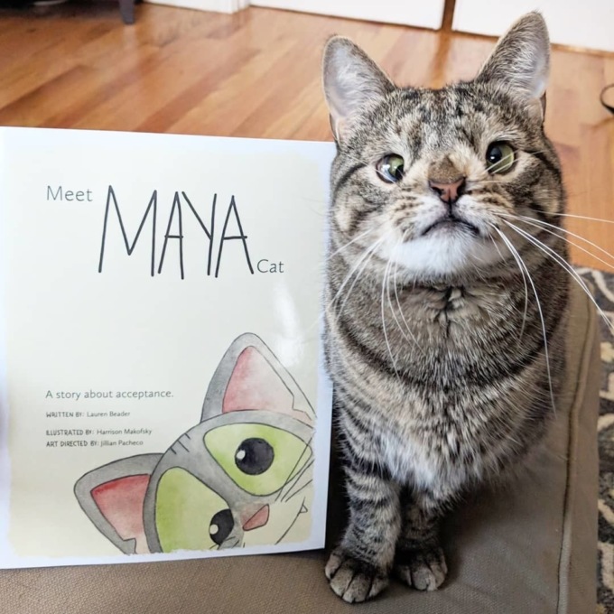 Майя — кошка, которой не повезло с генами, но повезло с хозяевами (30 фото)