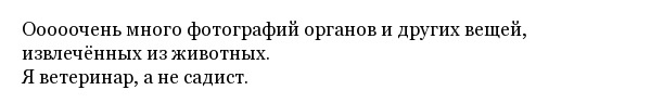 А какие постыдные вещи вы храните в своих смартфонах?