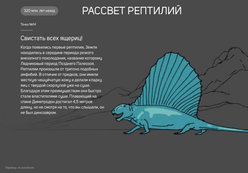 История Земли в 25 поворотных точках