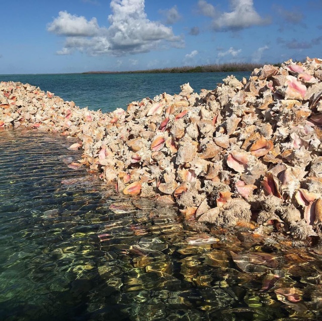 Необычный остров в Карибском море