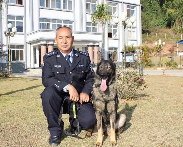 В Китае первый клон полицейской собаки приступил к тренировкам